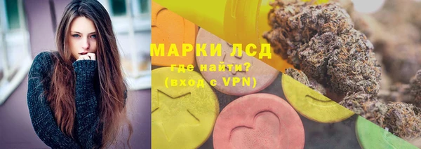 дживик Володарск