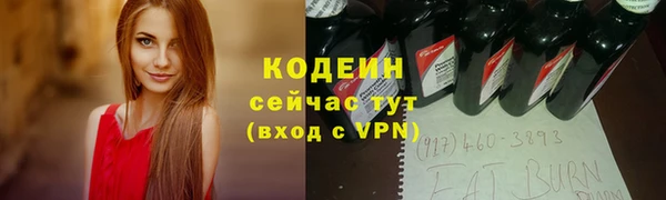 дживик Володарск