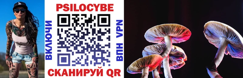 Псилоцибиновые грибы MAGIC MUSHROOMS  Купить где  Костерёво 